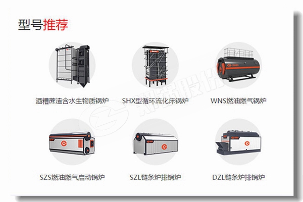 制藥廠(chǎng)5噸低排放污染鍋爐